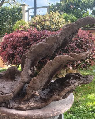 vaso struttura bonsai ishizuki 