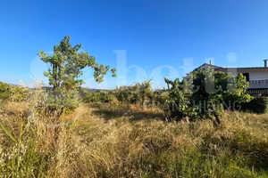 Terreno Agricolo Alife [Cod. rif 3159733VCG]