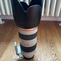 Canon 70-200 2.8 L USM
