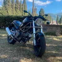 Ducati monster