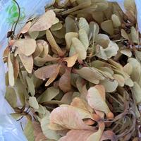 elicottero rami rametti fai da te decupage creare