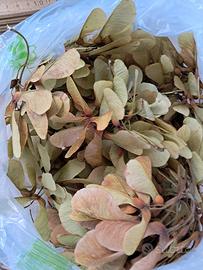 elicottero rami rametti fai da te decupage creare