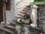 Immagine 19