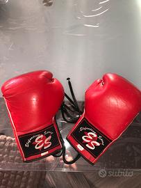 Guanti boxe Professionali