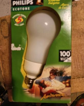 lampadina Philips 100W
