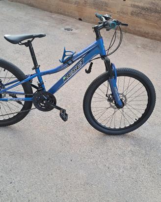 bicicletta 