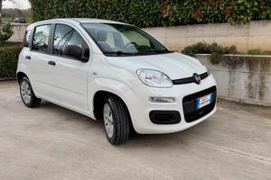 Fiat New Panda 1.2 Easy Benzina Euro 6B