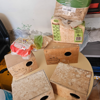 Nidi e fibra cocco per inseparabili agapornis