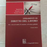 Diritto del Lavoro libro universitario