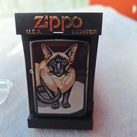 zippo siamese cat