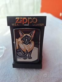 zippo siamese cat