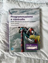 Programmazione e controllo
