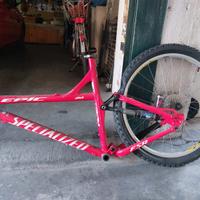 Elementi bici Specialized