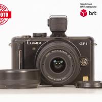 Panasonic Lumix DMC-GF1 + LVF1