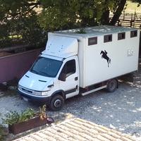 Daily trasporto cavalli 