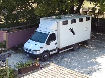 Daily trasporto cavalli 