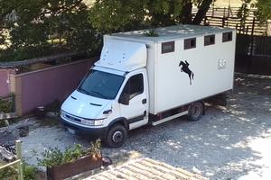 Daily trasporto cavalli 