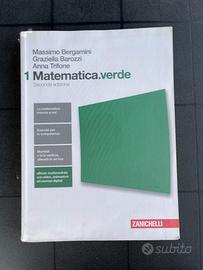 Matematica verde 1