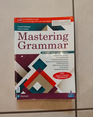 Mastering Grammar