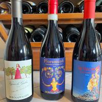 vino donnafugata sicilia DOCG - 2021