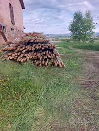 Pali in cemento per vigneti