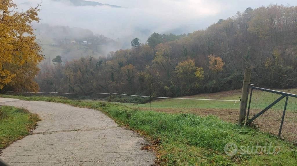 Immobile in asta di 21850 m² a Configni - Vista 3