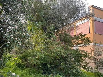 Villa da riattare immersa nel bosco