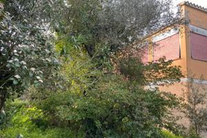 Villa da riattare immersa nel bosco