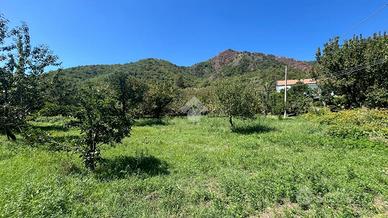 TER. AGRICOLO A BARONISSI