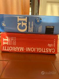 Dizionario latino e greco