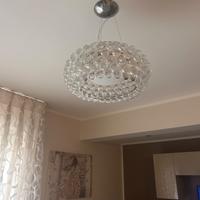 Caboche Foscarini media