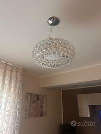 Caboche Foscarini media