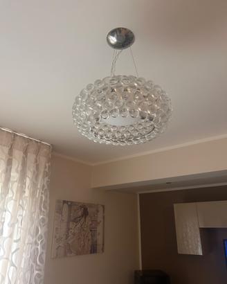 Caboche Foscarini media