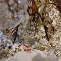 lampadario cristallo