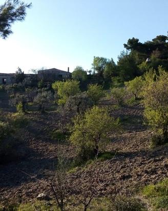 Masseria a Oriolo (CS)