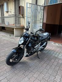 Suzuki sfv 650 gladius