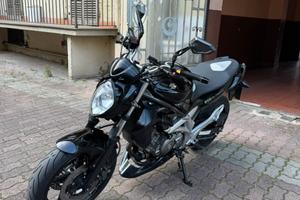 Suzuki sfv 650 gladius