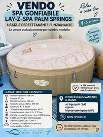 SPA gonfiabile Lay-Z-Spa Palm Springs,