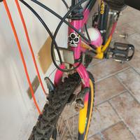 Mountain bike Colnago Sport