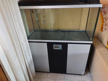 Acquario artigianale 200 lt