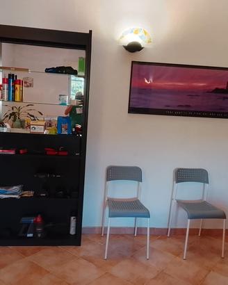 ingresso 