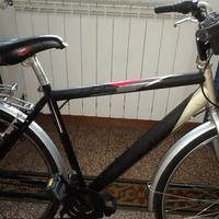 Bici uomo ruote 28 a Firenze