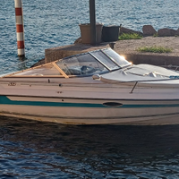 Doral 205 motoscafo semicabinato con carrello