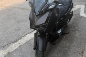 Xmax 300