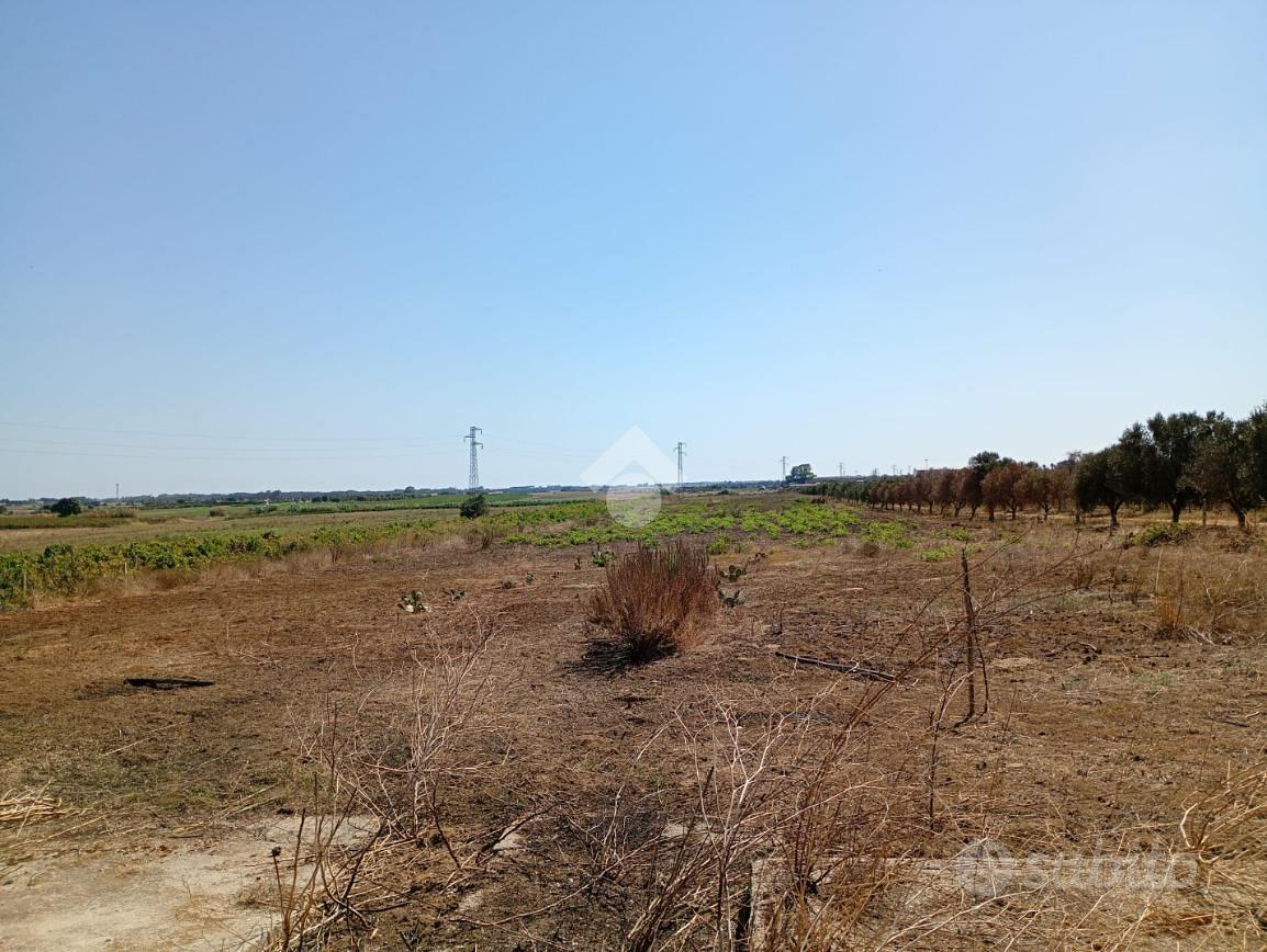 TER. AGRICOLO A BRINDISI - Altro