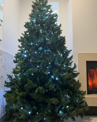 Albero di Natale 