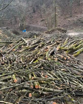 Pali di castagno o robinia