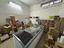 Immagine 14