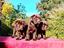 Immagine 3