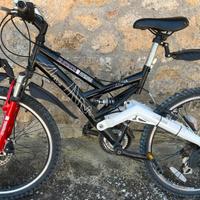 Bicicletta 24